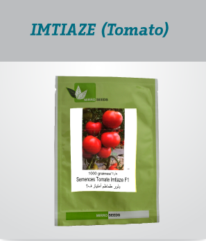 irrigation_produit