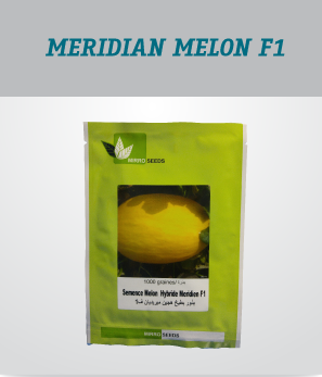 irrigation_produit