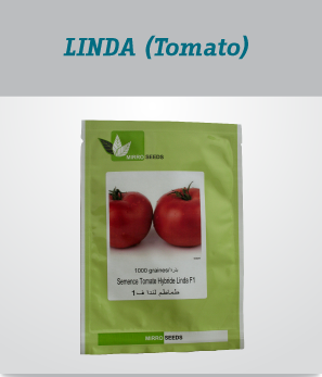 irrigation_produit