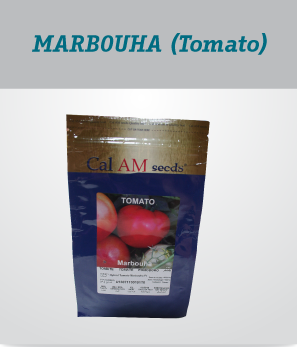 irrigation_produit